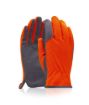 Slika Rukavice ARDON®SIENOS najlon/spandex s kartončićem 