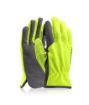 Slika Rukavice ARDON®SIENOS najlon/spandex s kartončićem 