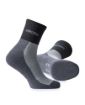 Slika Čarape ARDON®GREY 