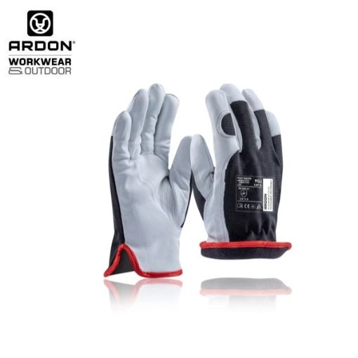 Slika Zimske rukavice ARDON®PONY WINTER s kartončićem 