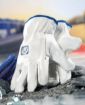Slika Rukavice ARDON®INDY s kartončićem kožne 